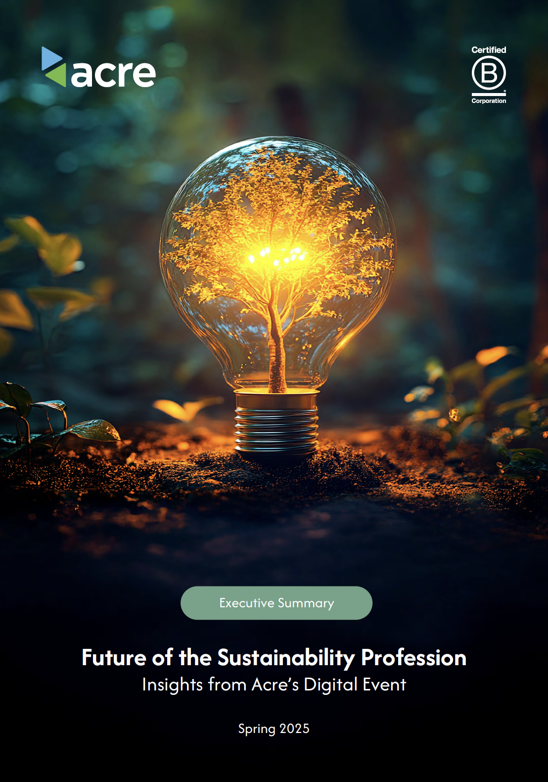 Future of the Sustainability Professional